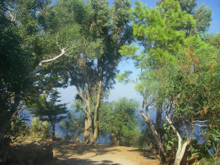 Sull'Arco Dell'Elefante Villa Tracino Bagian luar foto